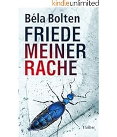 Friede meiner Rache: Thriller (Simon Wagners Fälle)