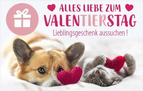 Geschenke zum ValenTIERstag