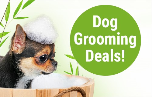 Shop Grooming ►