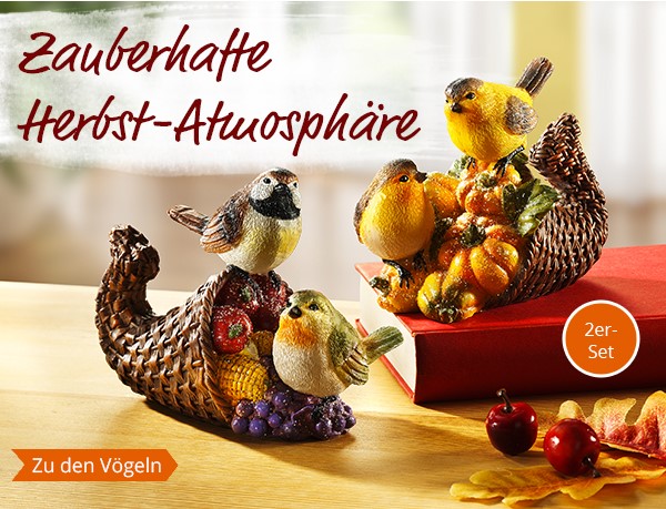 Zu den Vögeln