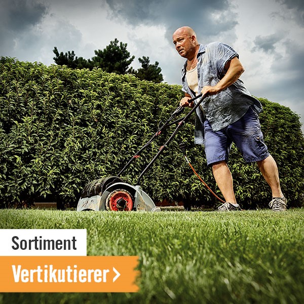 Sortiment Vertikutierer
