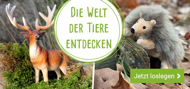 Die Welt der Tiere entdecken!