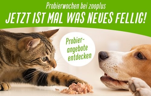 Probierwochen