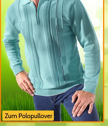 Zum Polopullover