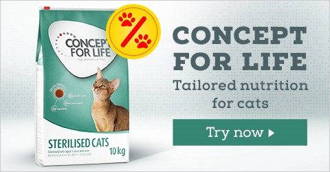 Try Conceopt for Life today! ►