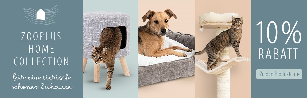 Jetzt unsere zooplus Home Collection entdecken!