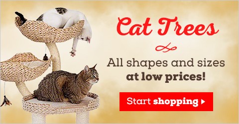 Shop Cat Trees ►