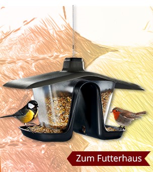 Zum Futterhaus