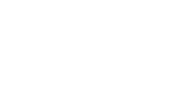 MODULAN Profi Services
