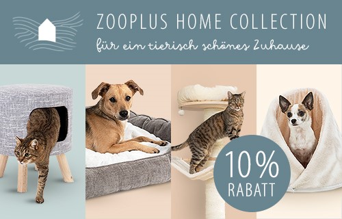 Jetzt unsere zooplus Home Collection entdecken!