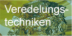 Veredelungstechniken