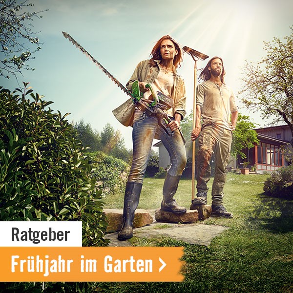 Frühjahr im Garten