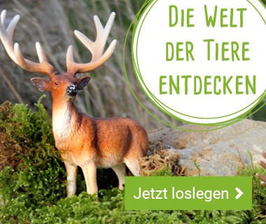 Die Welt der Tiere entdecken!