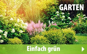 Garten & Balkon