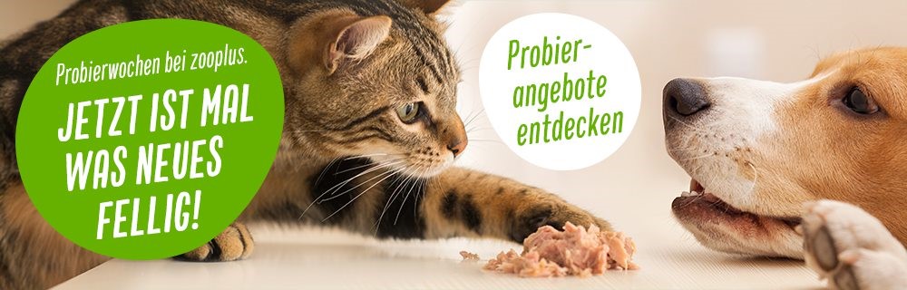 Probierwochen