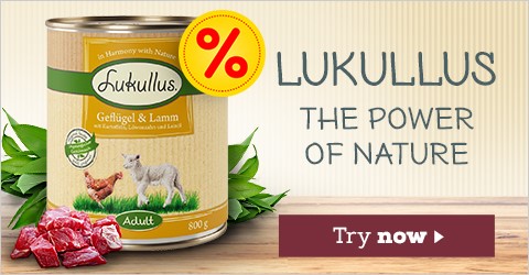 Try Lukullus today! ►