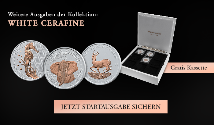 Jetzt Startausgabe bestellen!