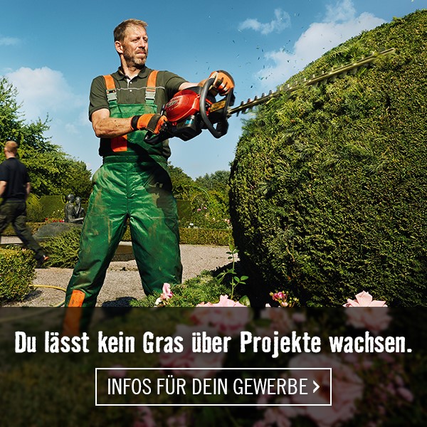 ProfiService