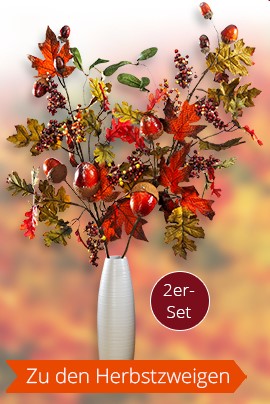 Zu den Herbstzweigen