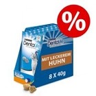 8 x 40 g Purina Dentalife Zahnpflege-Snacks zum Sonderpreis!