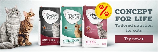 Try Conceopt for Life today! ►