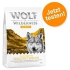 1 kg Wolf of Wilderness - Performance/ Mobility/ Weight Management