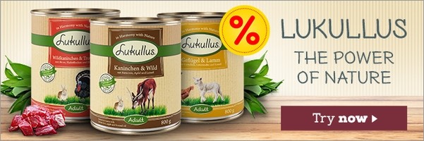 Try Lukullus today! ►