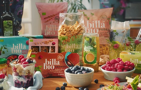 Viele BILLA Bio Produkte auf einem Holztisch präsentiert