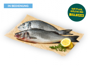 Premium Goldbrasse od. Wolfsbarsch