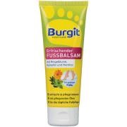 Burgit