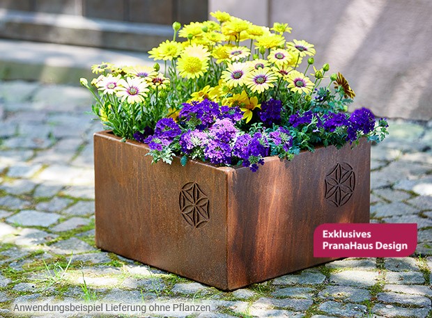 Blumenkasten „Saat des Lebens“