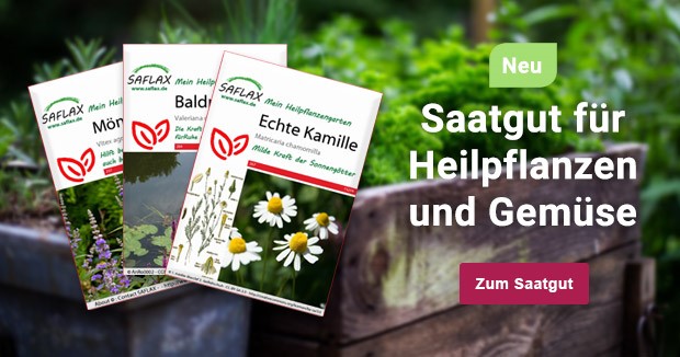 Zum Saatgut